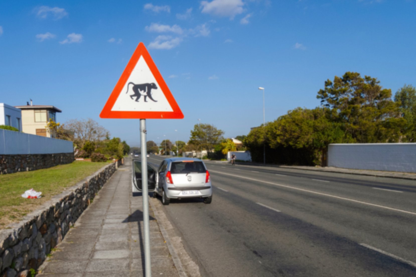 Road sign of baboon crossing road in Hermanus, South Africa