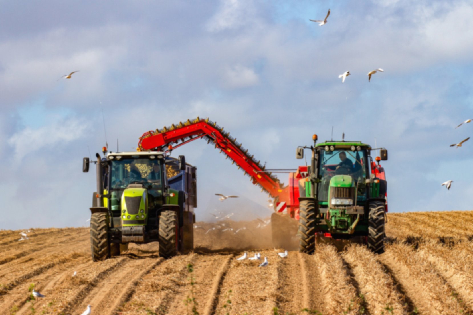 Two tractors harvesting a field side by side