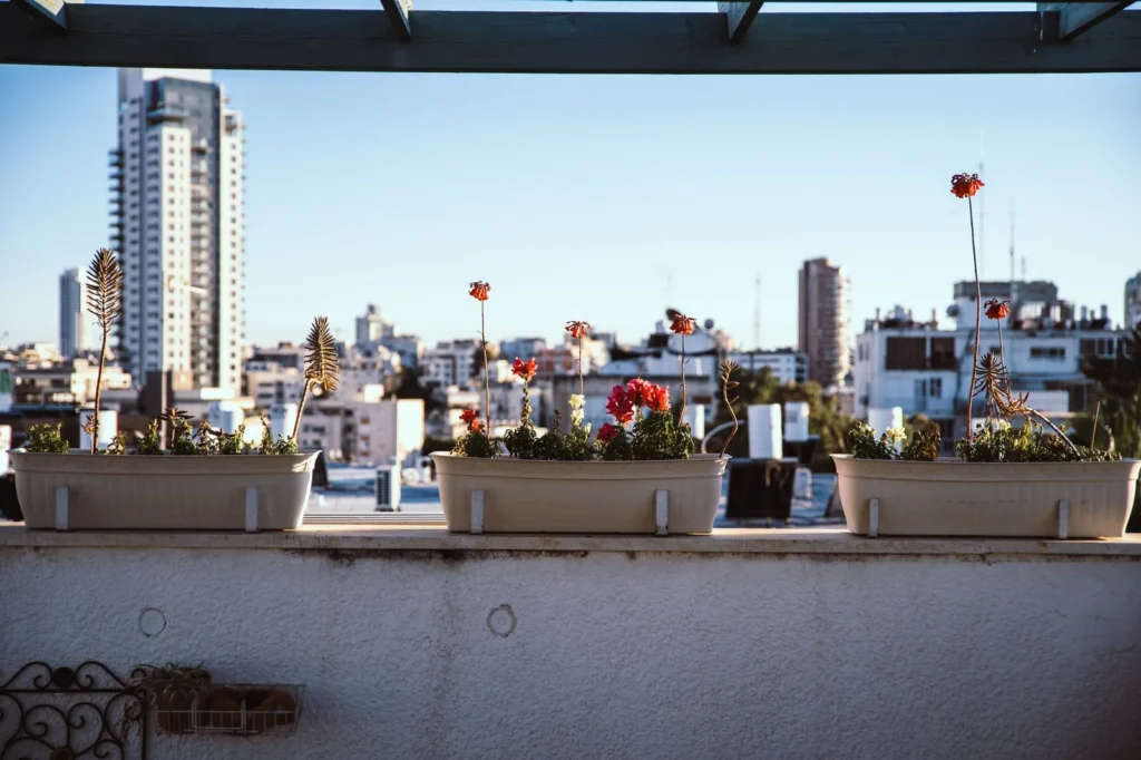 Jardín urbano en balcón con macetas y verduras frescas
