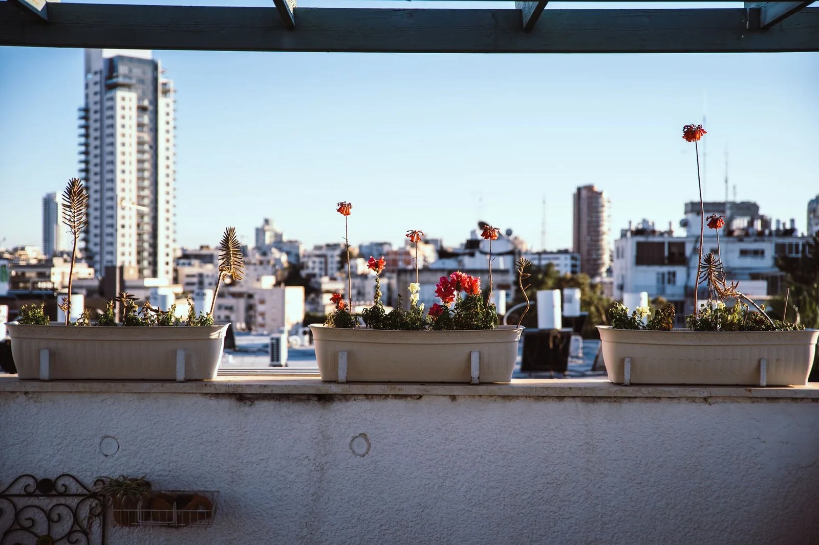 Jardín urbano en balcón con macetas y verduras frescas
