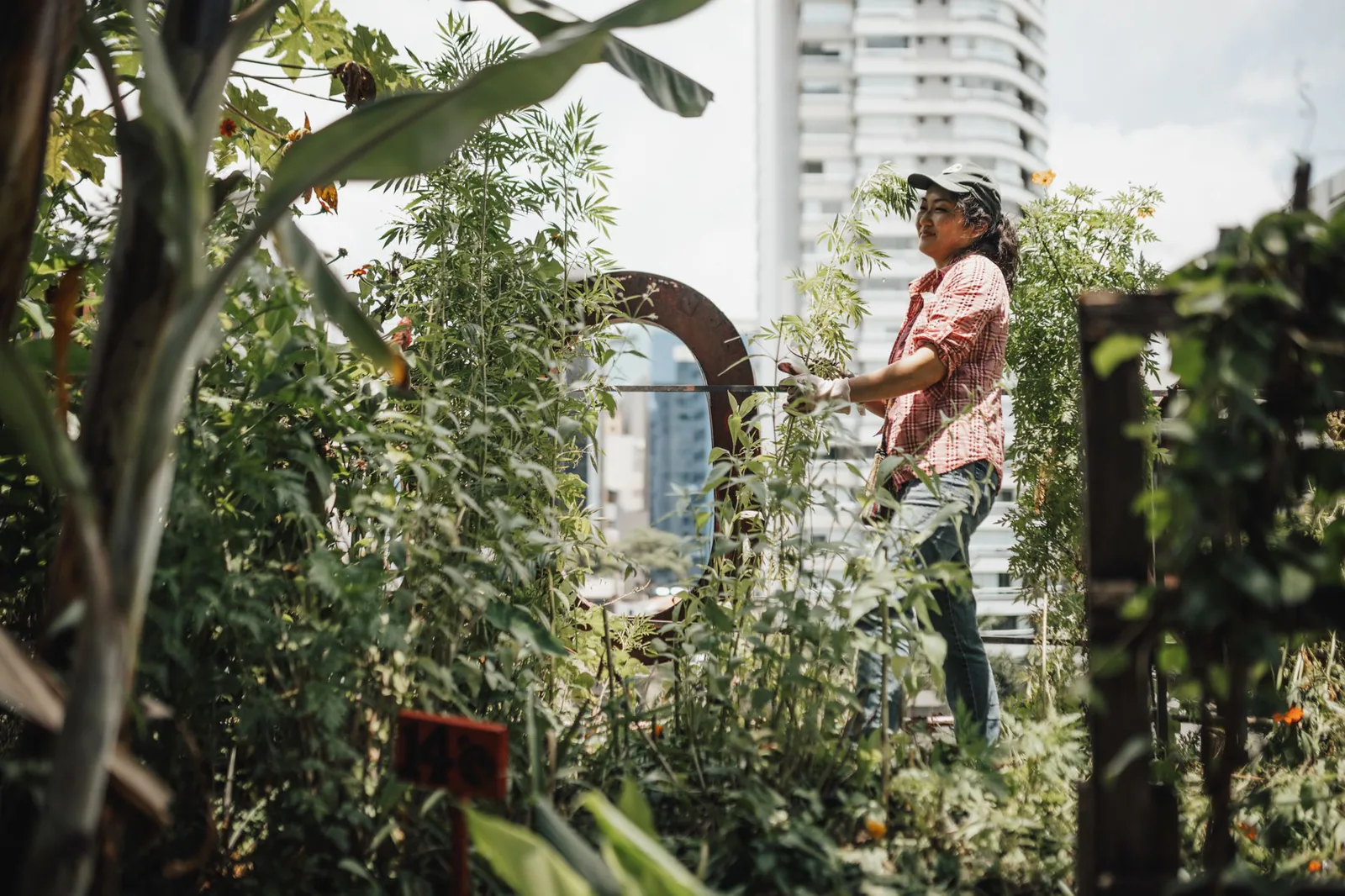 Jardín comunitario en azotea de edificio