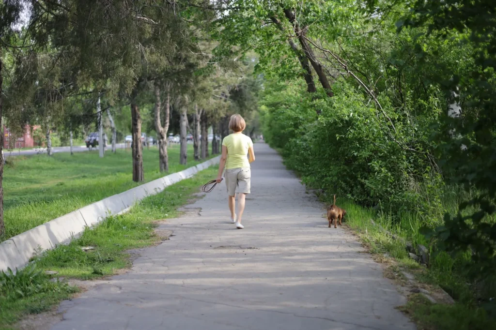 Perro paseando con su dueño en un parque belga