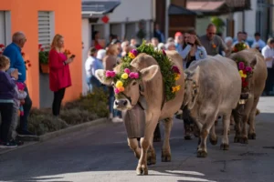 Celebración festiva en un pueblo alpino suizo