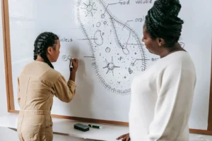 Persona realizando examen práctico de conducir en Bélgica